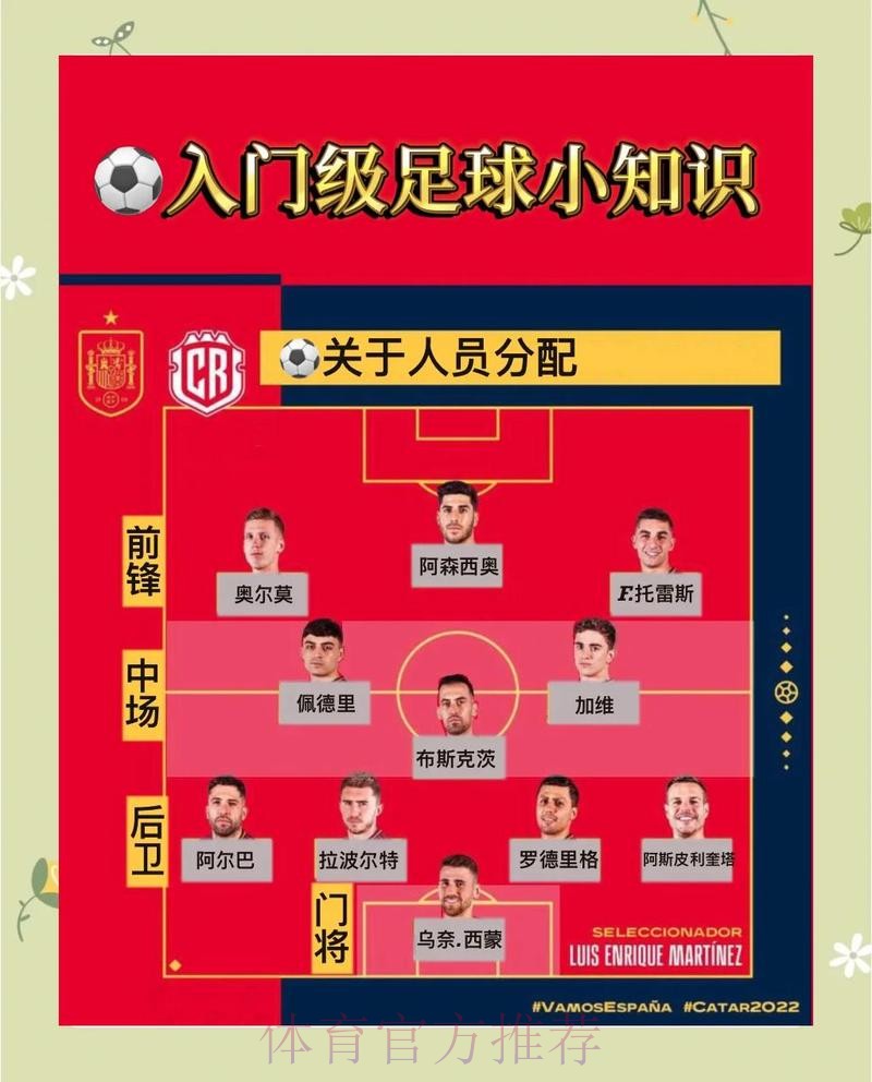 世界杯滚球APP最佳选择与使用指南